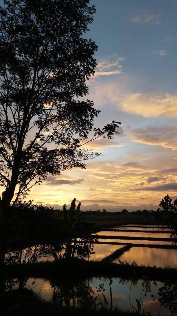 There's a special quality to the loneliness of dusk, a melan