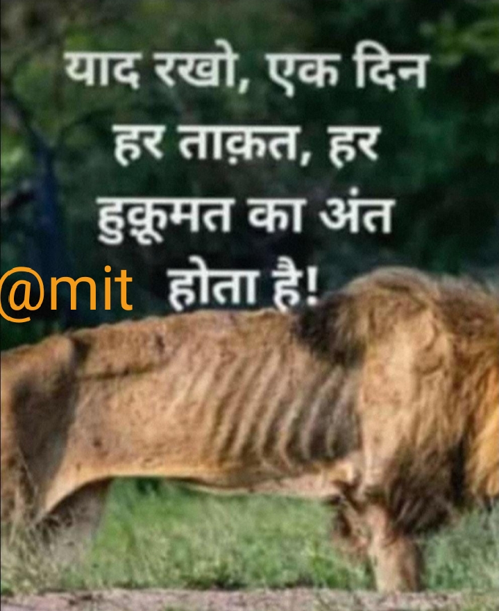 Ownmates Post