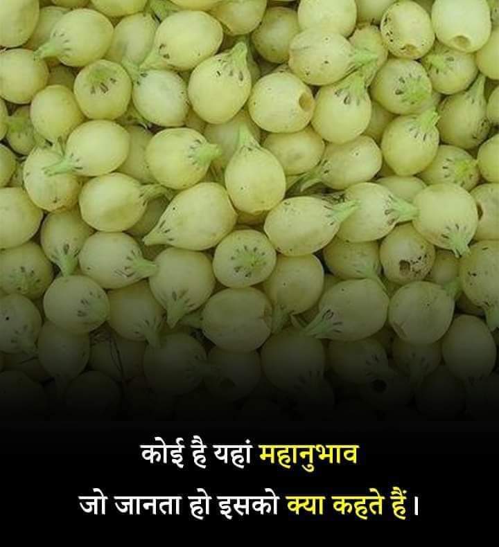Are you know these flowerss 🌺 name ?
ये किस पेड़ का फूल है ?