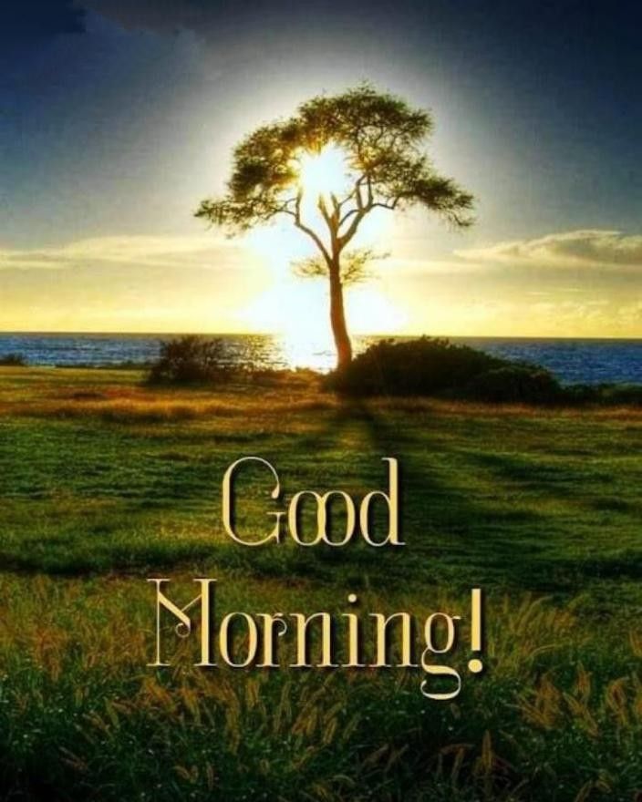 good morning!!!