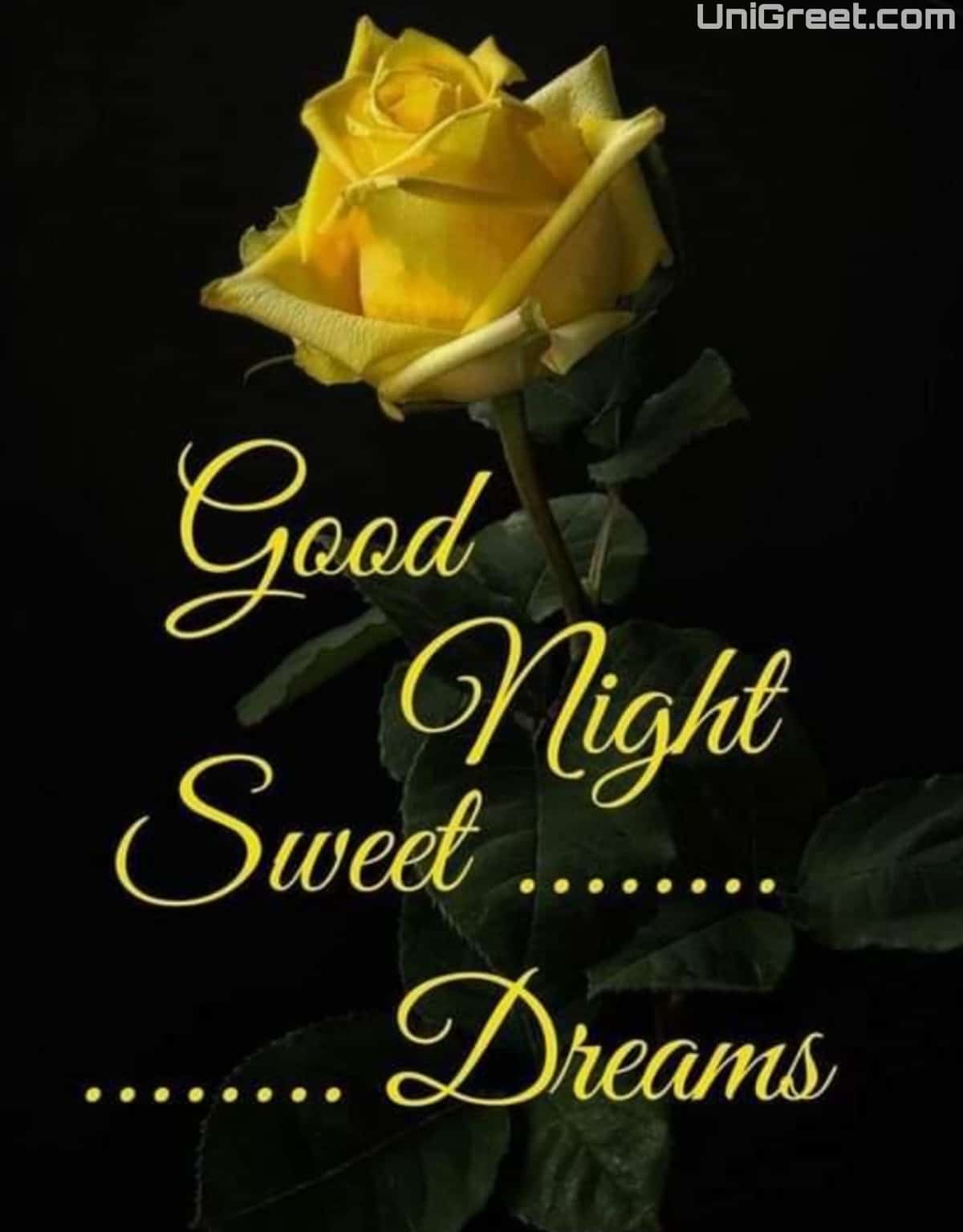 good night!!!