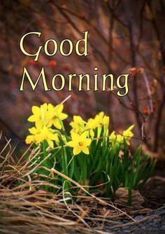 good morning!!!