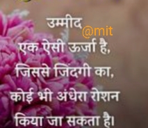 Ownmates Post