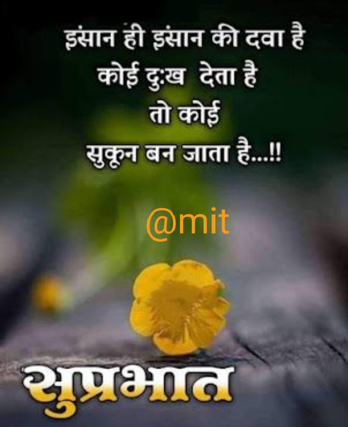 Ownmates Post
