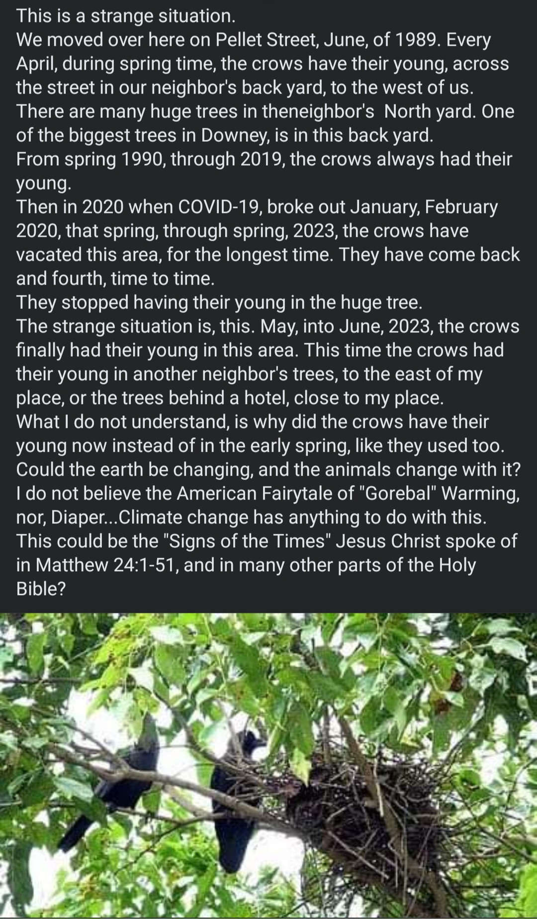 Ownmates Post