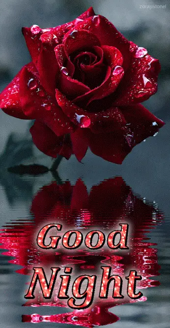 happy good night
