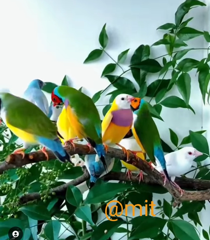 Ownmates Post