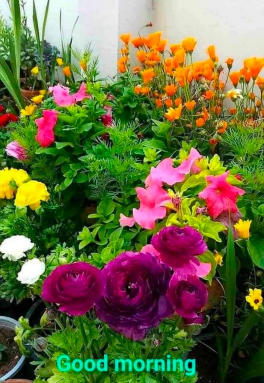 💕Happy monsoon 💕