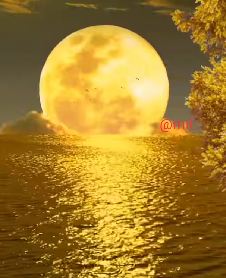 Ownmates Post