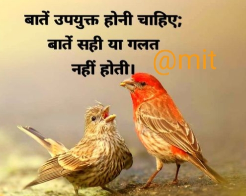 Ownmates Post