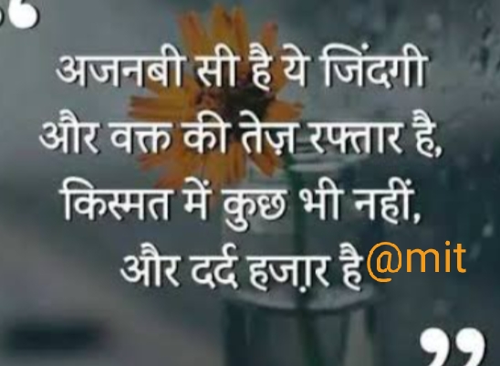 Ownmates Post