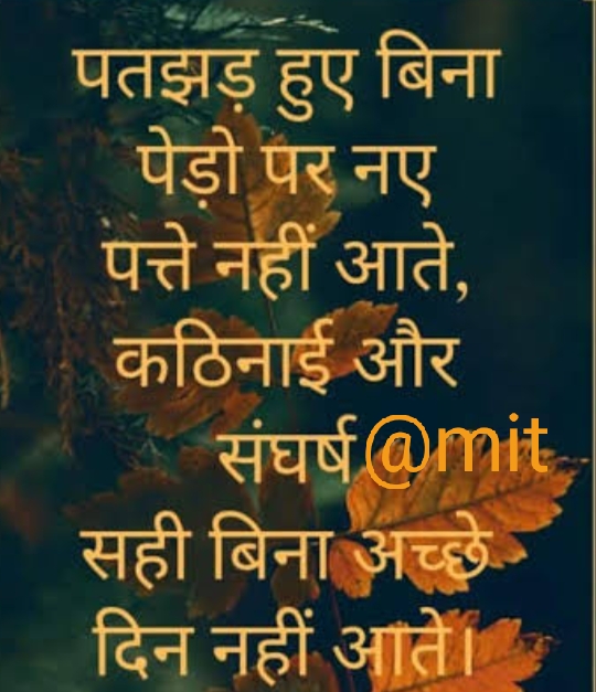 Ownmates Post