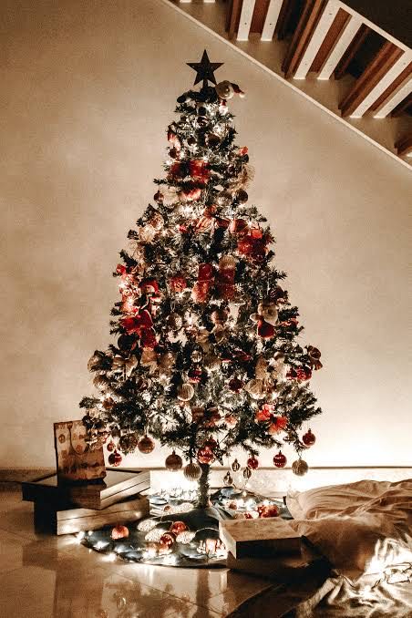 Merry Christmas 🌲
