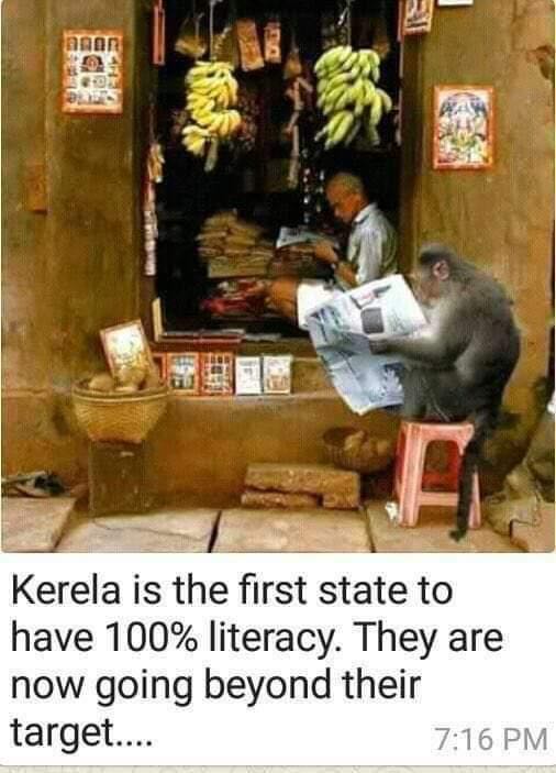 Incredible kerala 🙂