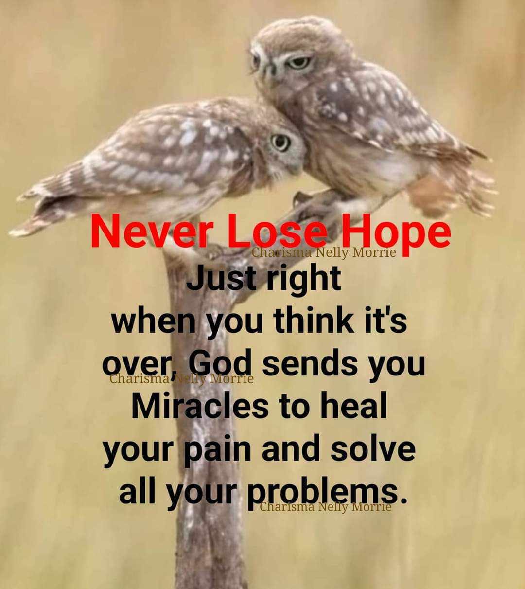 never lose hope