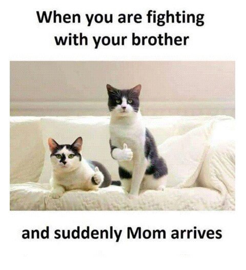 Ownmates Post