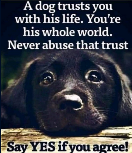 agree? yes