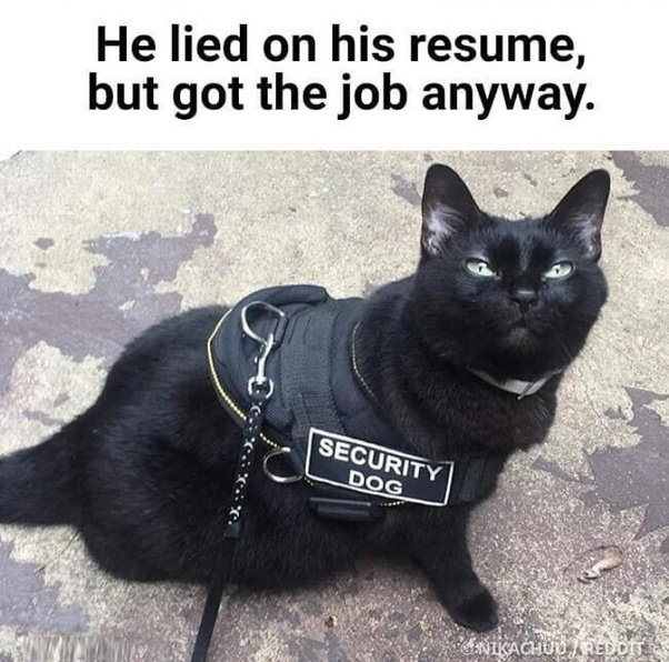 Ownmates Post
