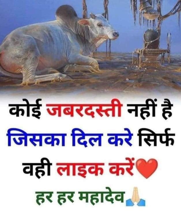 har har mahadev