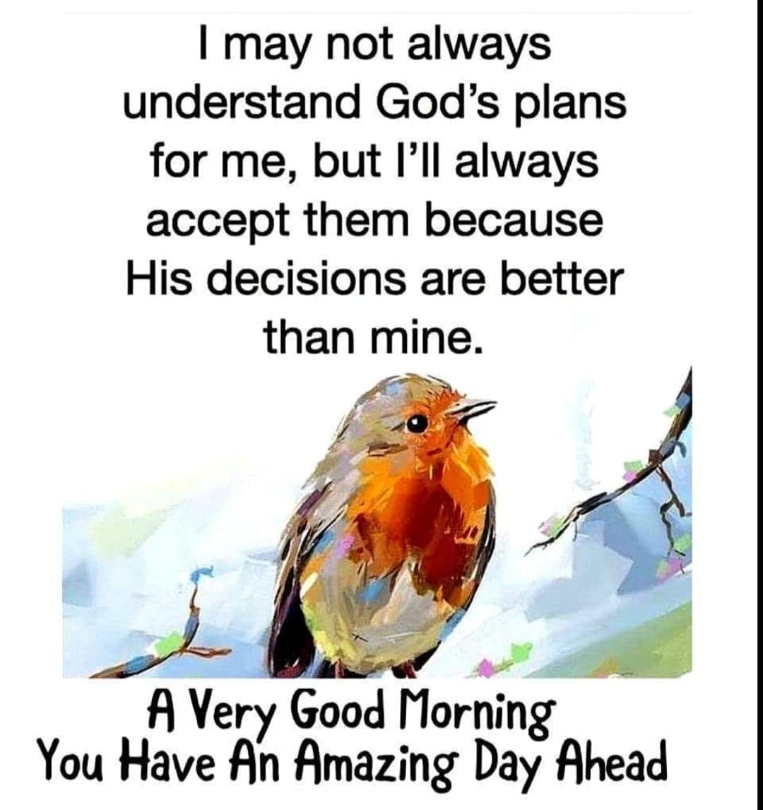 hi good morning to all