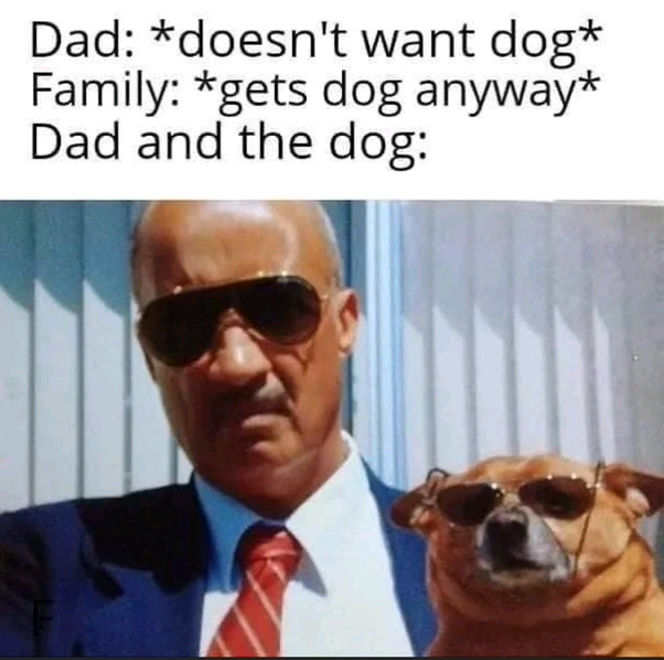 all dogs are not faithful?🤔🏘