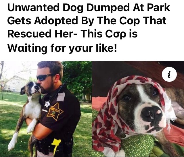 #dog