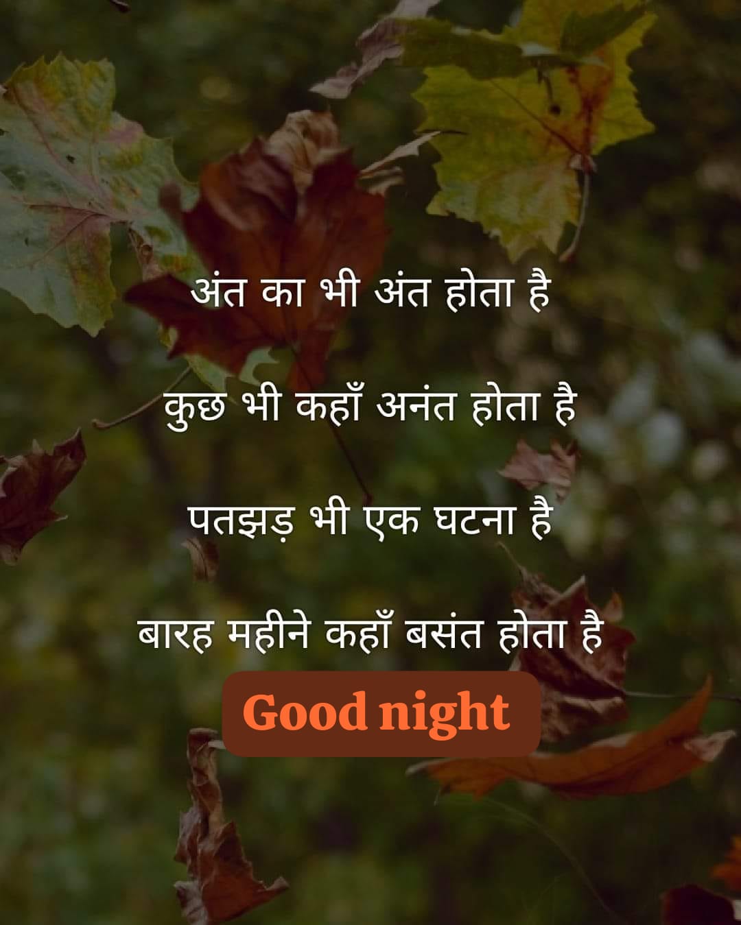 #good_night