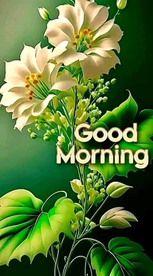 good morning🥱 very warm feelings!