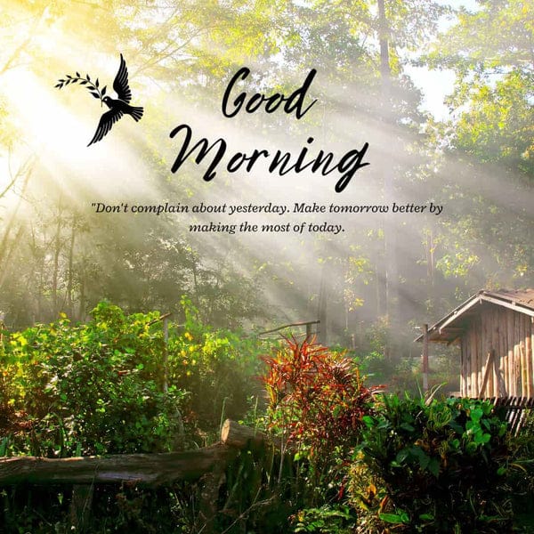 #GoodMorning