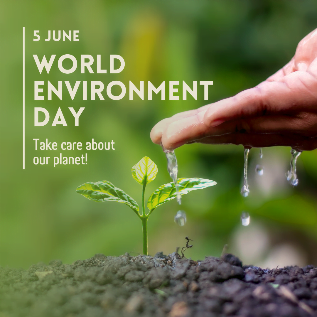 Happy #WorldEnvironmentDay! 
Save trees save the environment