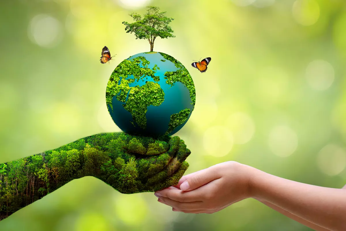पर्यावरण को बचाये ।
#Happy #WorldEnvironmentDay