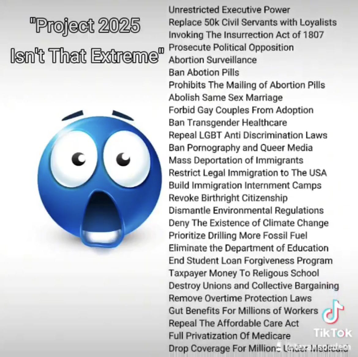 Republican Party's manifesto 
"Project 2025"