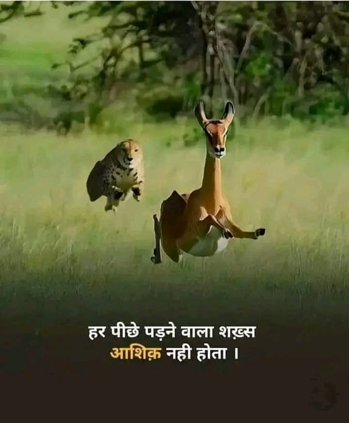 कुछ पागल भी होते हैं 😊😇
#status