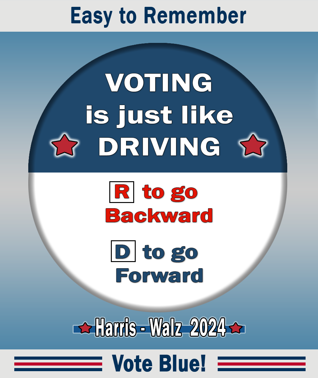 #Election2024 #democracy