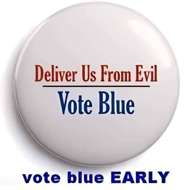 #vote #VoteBlue #USElection #USElection2024