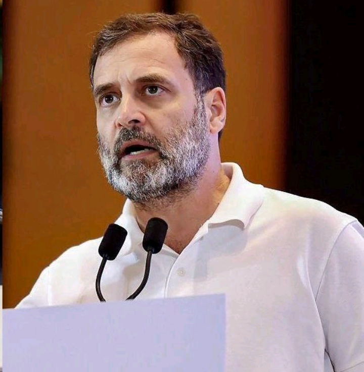 सीबीआई ने राहुल गांधी की नागरिकता की जांच शुरू की दिल्ली उच्