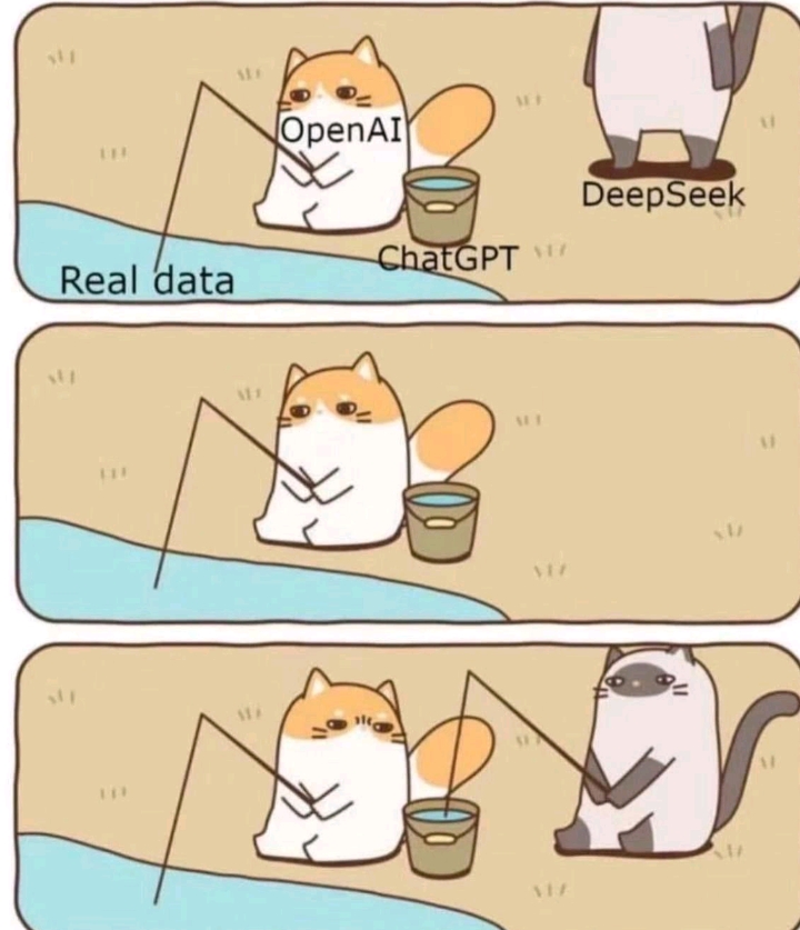 DeepSeek copying OpenAI !