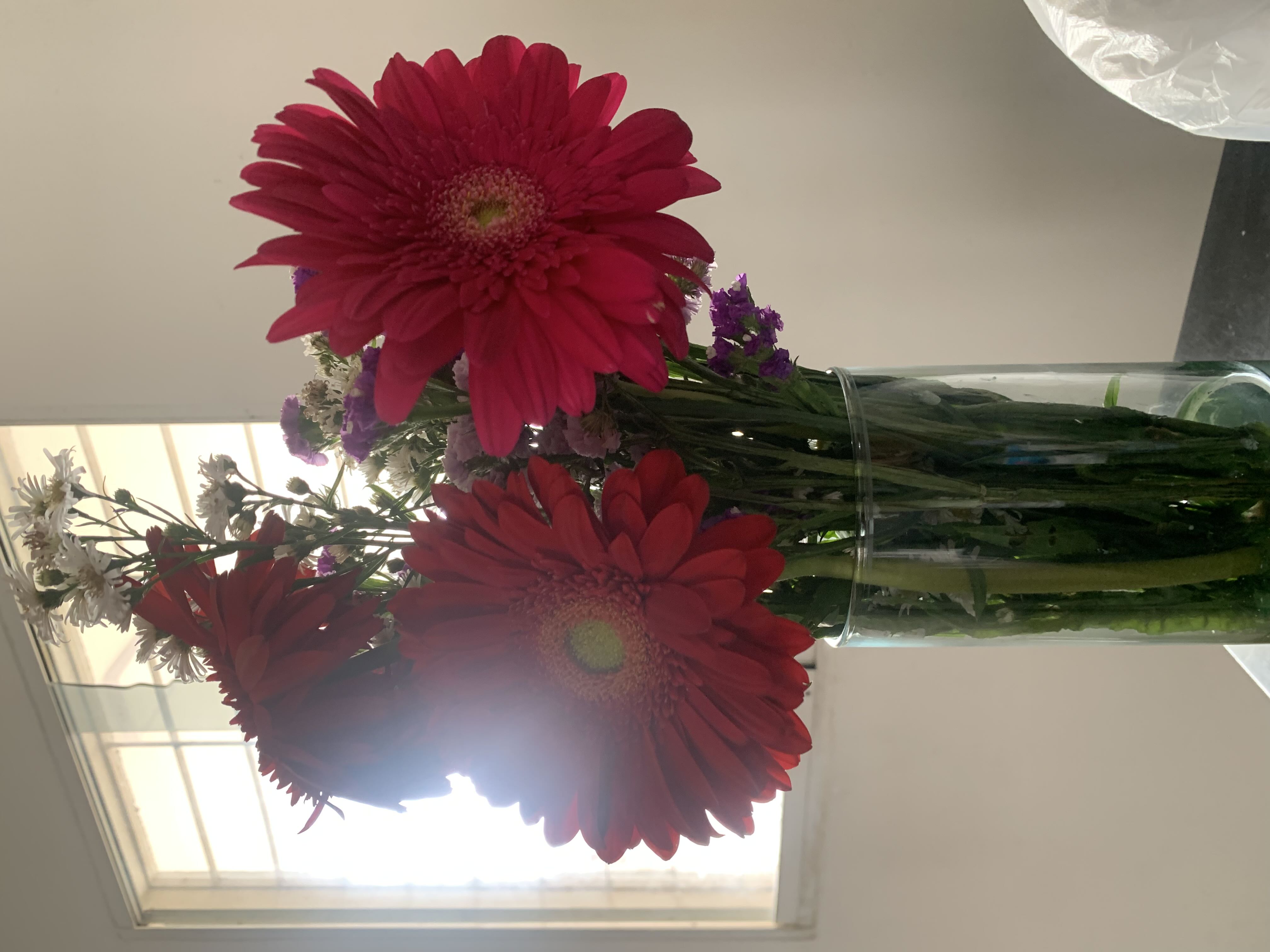 A quien le gusta despertarse el domingo con unas Gerberas??