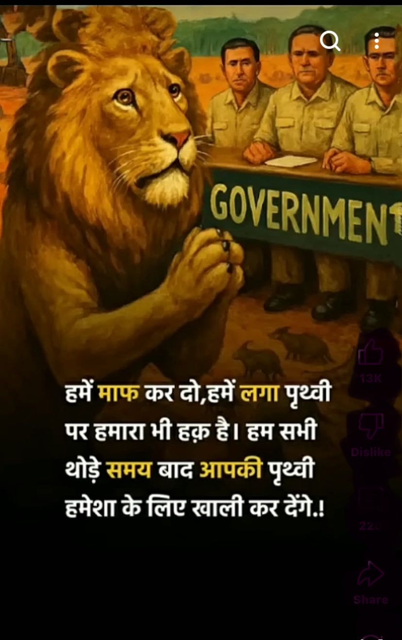 #save us #save jungle