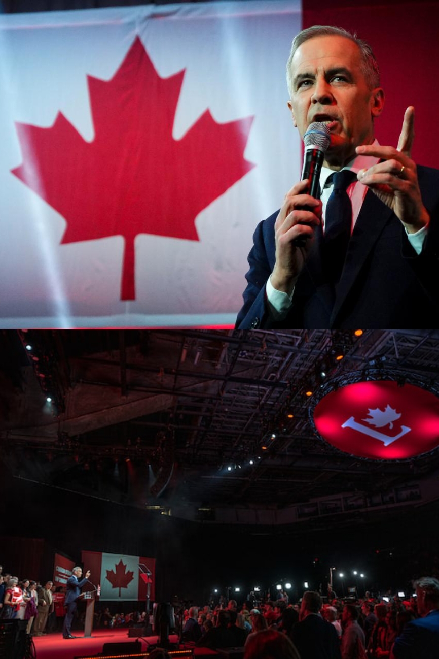 Liberal Party (Mark Carney): Won 168 seats, forming a minori