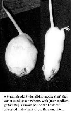 A 9-month-old Swiss albino mouse (left that was treated, as 