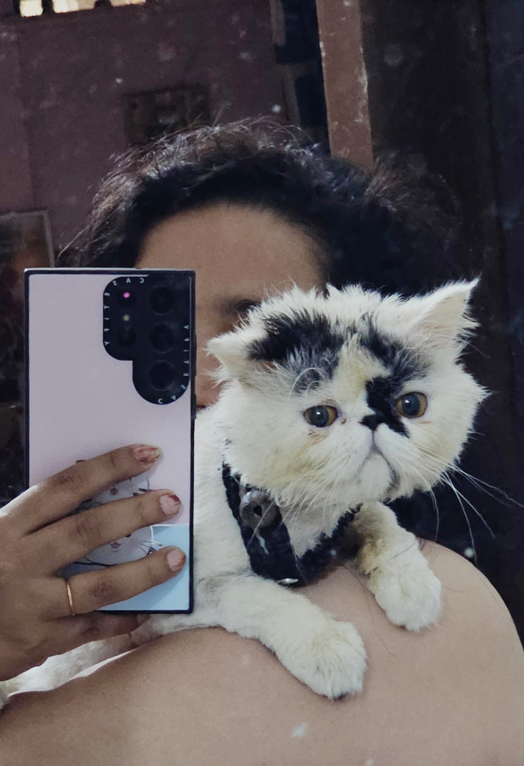 Updated Profile Photo.