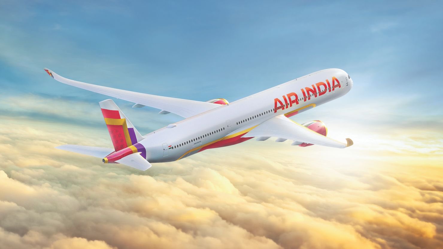 Air India is a private company.

It was previously owned by 