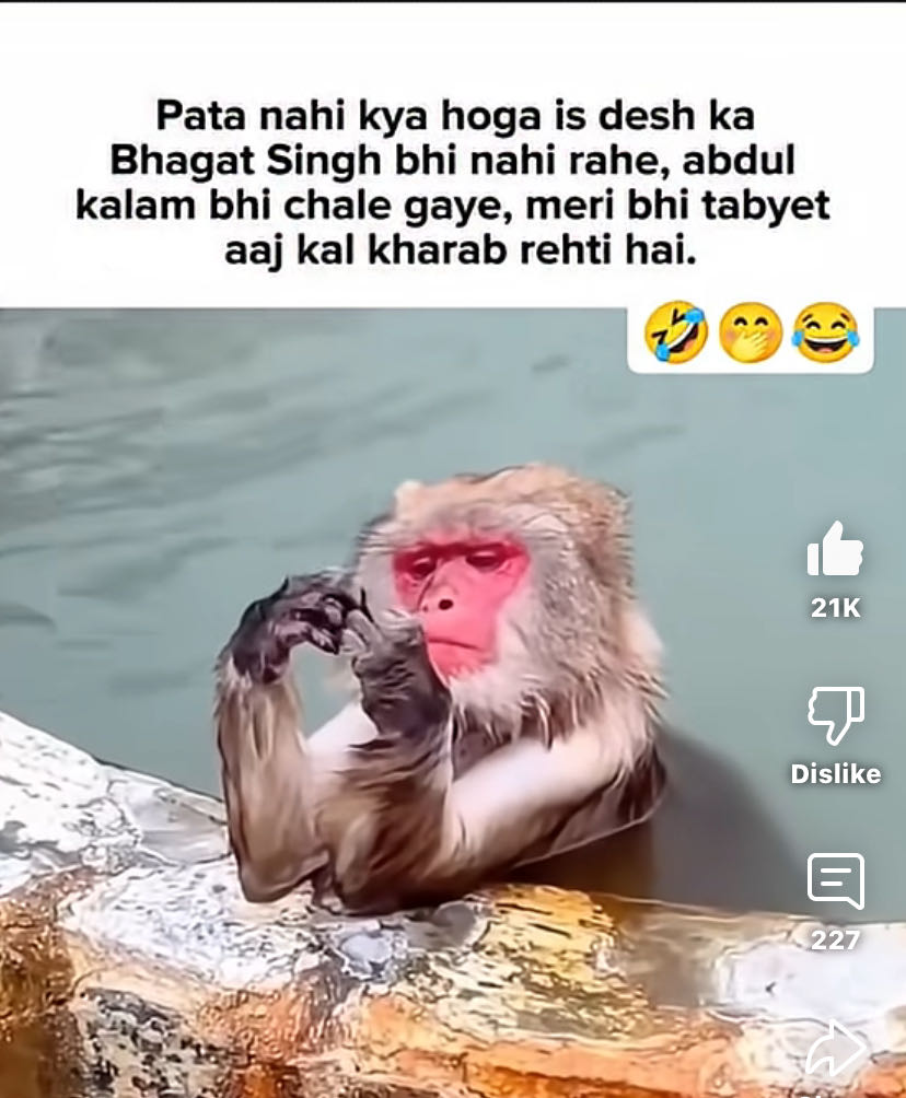 Ownmates Post