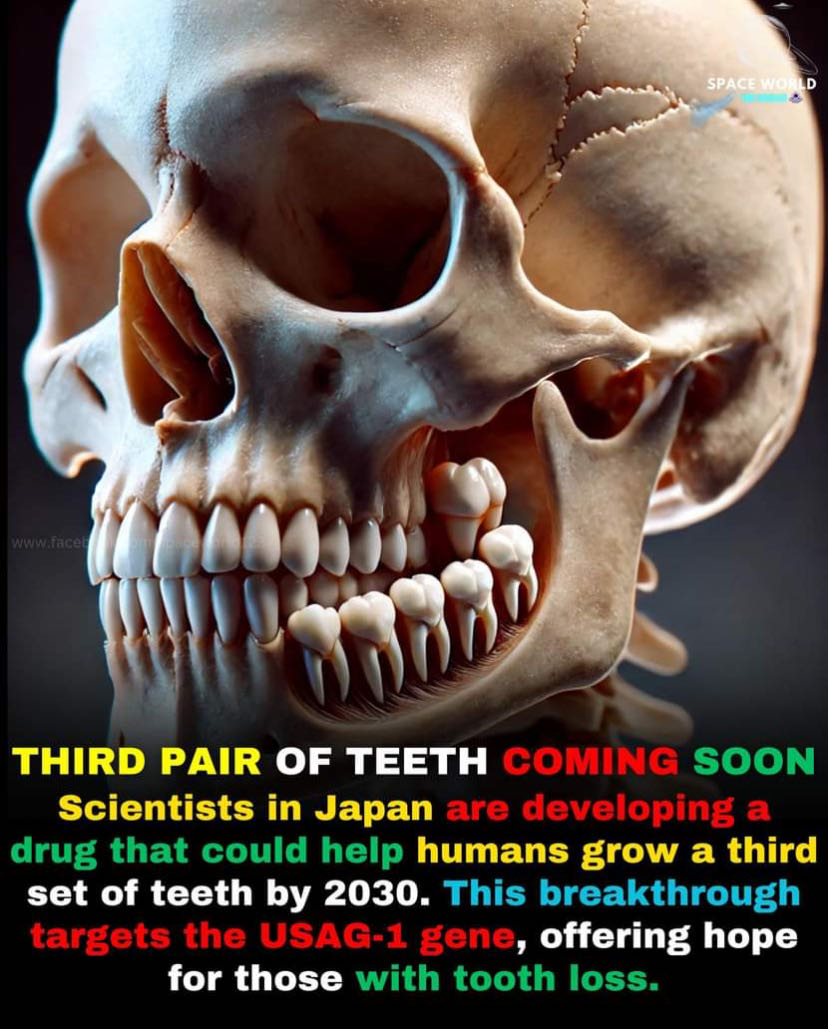 🦷 Current Possibilities for Teeth Regrowth:

1. Tooth Regene