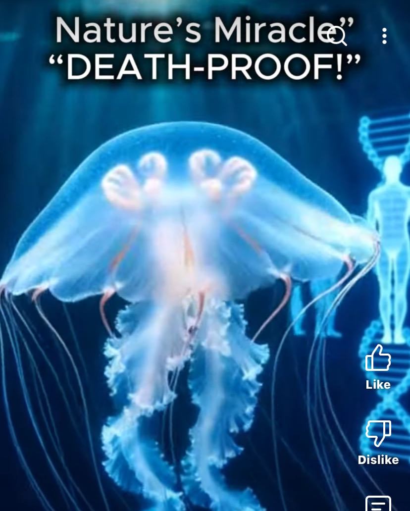 In real biology, no organism is truly immortal, but some cre