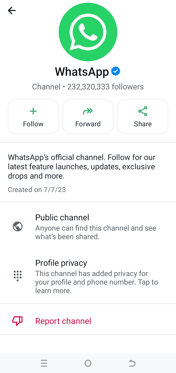I saw the WhatsApp official channel for two year ago. 

Some