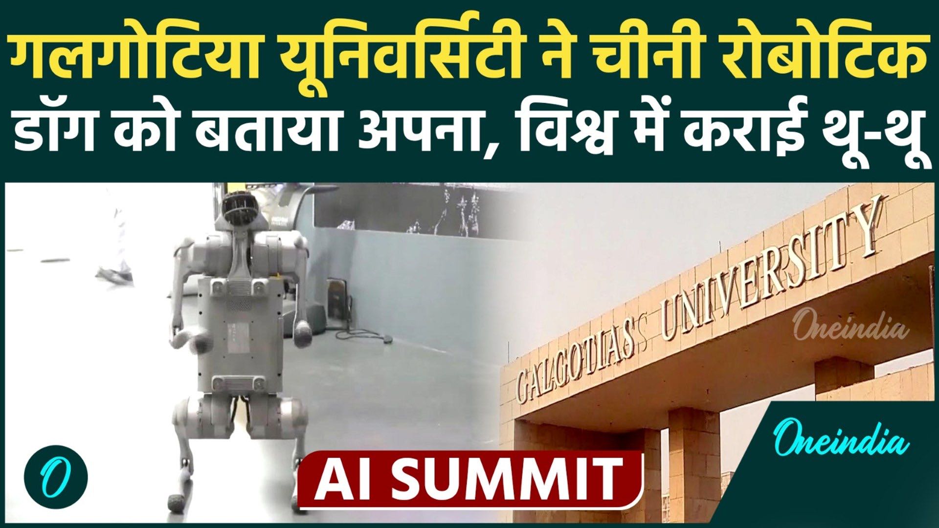 क्या मज़ाक़ बन रहा है AI summit में
ऐसा कुत्ता जो ना ही जीवि