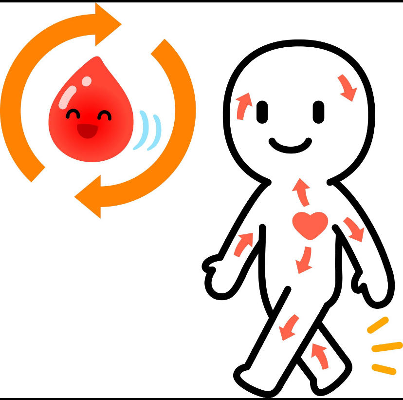 High blood pressure (BP) and low BP both do not improve heal