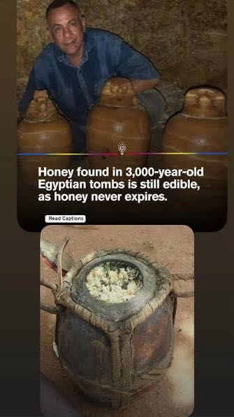 Honey discovered in ancient pyramids and Egyptian tombs was 